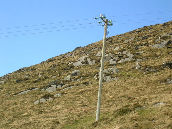 DSCN0269