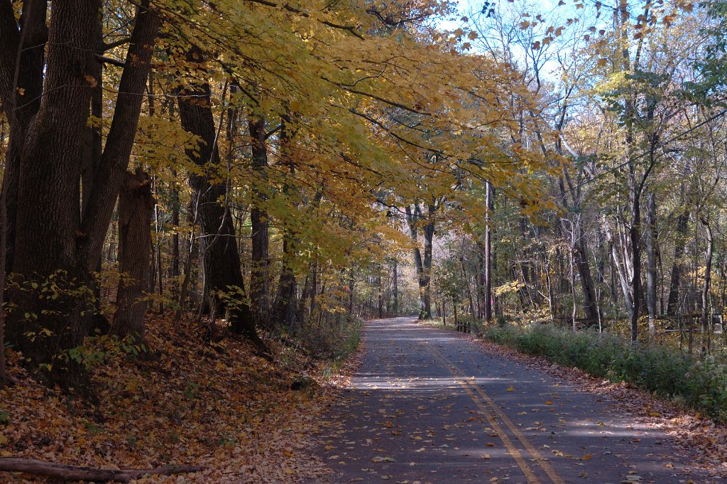 Radnor Lake