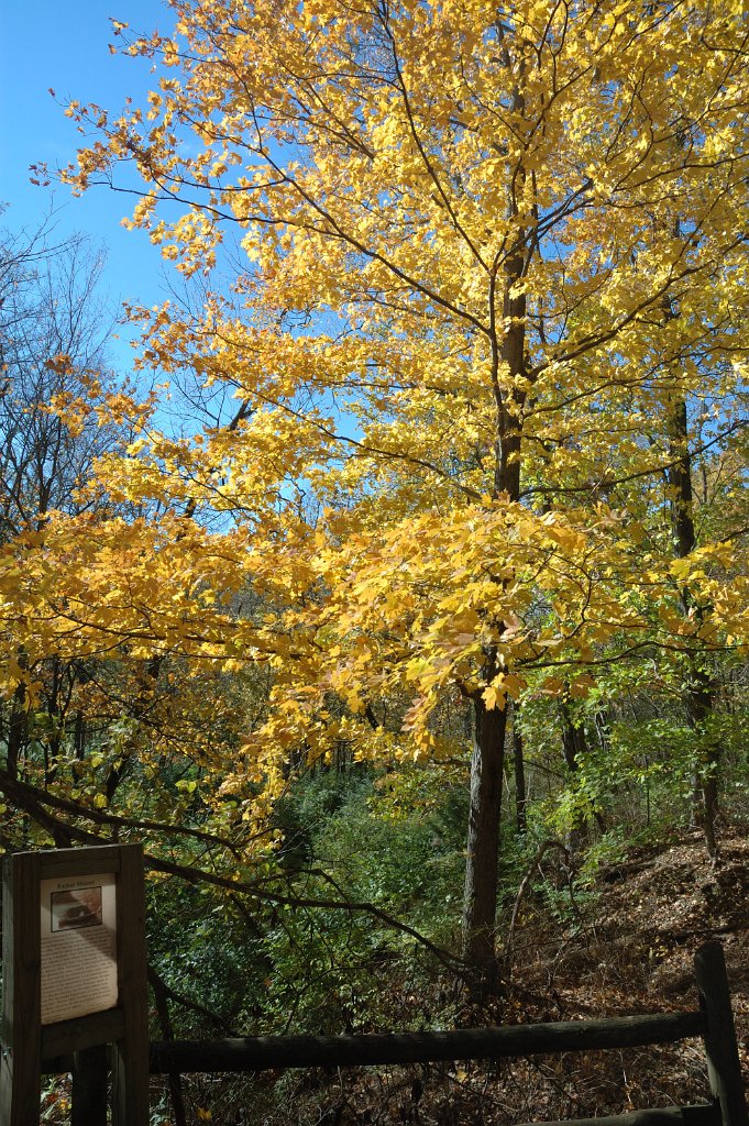 Radnor Lake