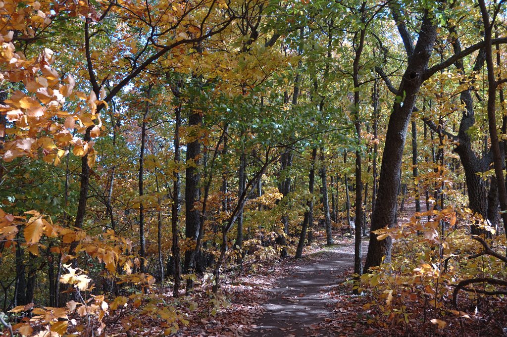 Radnor Lake