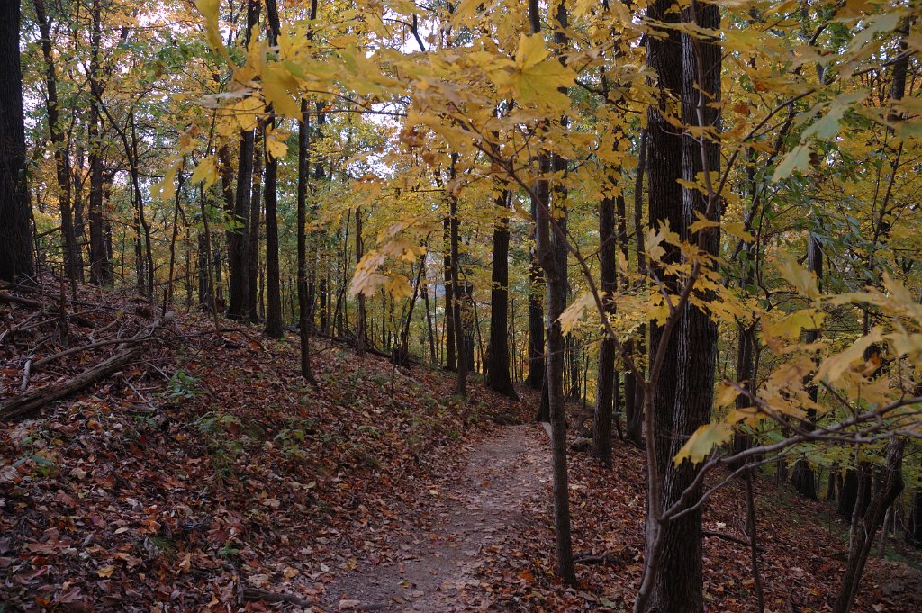 Radnor Lake