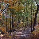 Radnor Lake  Radnor Lake : park outdoors foilage fall