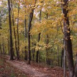 DSC_2160 * Radnor Lake * 3008 x 2000 * (3.1MB)