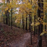 Radnor Lake  Radnor Lake : park outdoors foilage fall