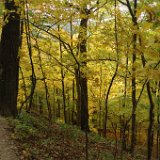 DSC_2165 * Radnor Lake * 3008 x 2000 * (3.08MB)