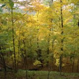 DSC_2169 * Radnor Lake * 3008 x 2000 * (2.87MB)