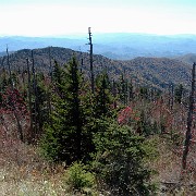 DSC 2043  view from Clingman's Dome