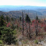 DSC 2044  view from Clingman's Dome