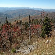 DSC 2045  view from Clingman's Dome