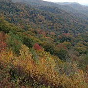 DSC 2069  Smoky Mountain National Park