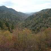 DSC 2072  Smoky Mountain National Park