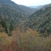 DSC 2073  Smoky Mountain National Park