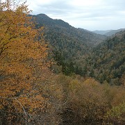 DSC 2074  Smoky Mountain National Park