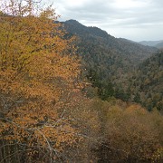 DSC 2075  Smoky Mountain National Park