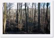 DSC_2279 * Trail to scenic overlook, Garrison Creek, Natchez Trace Parkway * 3008 x 2000 * (4.52MB)