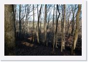 DSC_2280 * Trail to scenic overlook, Garrison Creek, Natchez Trace Parkway * 3008 x 2000 * (4.3MB)