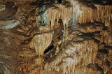 Mammoth Cave  Frozen Niagra Tour