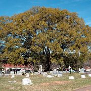 DSC 2567  Clinton Cemetery