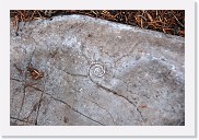 DSC_4148 * A sea shell fossil at over 10,000 feet on Sandia Mountain