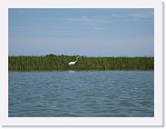 img_0646 * Huntington Beach State Park