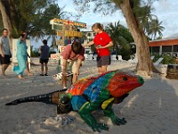 DSC 4590  the ubiquitous painted iguana statue