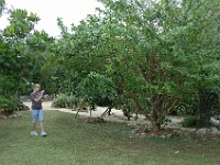 DSC 4854  Teagan in the fruit tree area