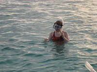 IMG 0712  A late afternoon snorkel
