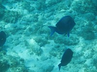 IMG 0739