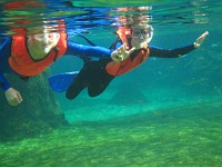 IMG 0793  snorkeling in Boatswain's Lagoon at the Turtle Farm