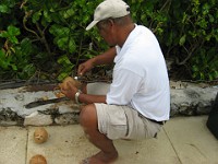 IMG 2312  Patrick working on a coconut