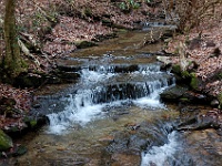 DSC 0168  Cooks Creek seen from the Woodland Trail