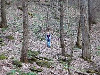 DSC 0487  Laurel Falls Trail above the falls