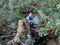 DSC 0547  Teagan climbing around Laurel Falls