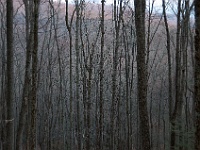 DSC 0600  View from the Laurel Falls trail at dusk