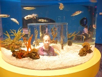 DSC 0616  Ripley's Aquarium of the Smokies