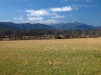 DSC 0665  Cades Cove looking toward Gregory Bald; note the ice in the trees on the mountain