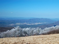 DSC 0743  View toward Cades Cove from Gregory Bald