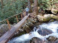 DSC 0923  The first foot bridge on the Ramsey Cascades Trail