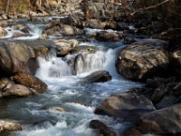 DSC 1100  The Middle Prong of the Little Pigeon River along the Ramsey Cascades Trail