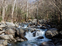 DSC 1101  The Middle Prong of the Little Pigeon River