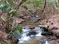 IMG 2531  Cooks Creek near the falls