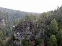 IMG 2543  Rocky Point viewed from the Fall Creek Falls Overlook