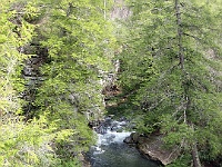 IMG 2603  Piney Creek viewed from the suspension bridge
