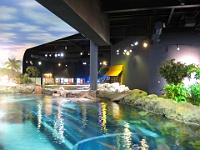 IMG 2736  Ripley's Aquarium of the Smokies