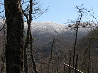 IMG 2818  Ice at the high elevations seen from the Gregory Ridge Trail