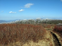IMG 2849  View from Gregory Bald
