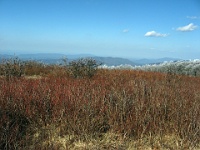 IMG 2850  View from Gregory Bald