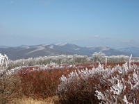 IMG 2853  View from Gregory Bald towards the east