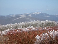 IMG 2854  View from Gregory Bald towards the east