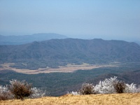 IMG 2855  View from Gregory Bald towards Cades Cove